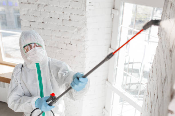Best Mold-Related Health Consultation  in Union Park, FL