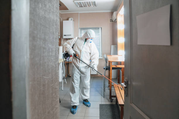 Best Dehumidification Services  in Union Park, FL