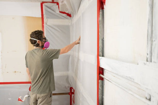  Union Park, FL Mold Removal Pros