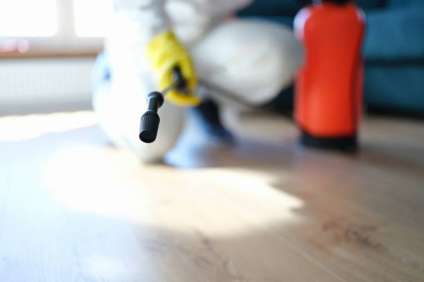 Best Mold Removal for HVAC Installations  in Union Park, FL