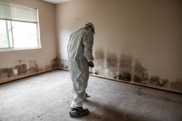 Best Biohazard Mold Removal  in Union Park, FL